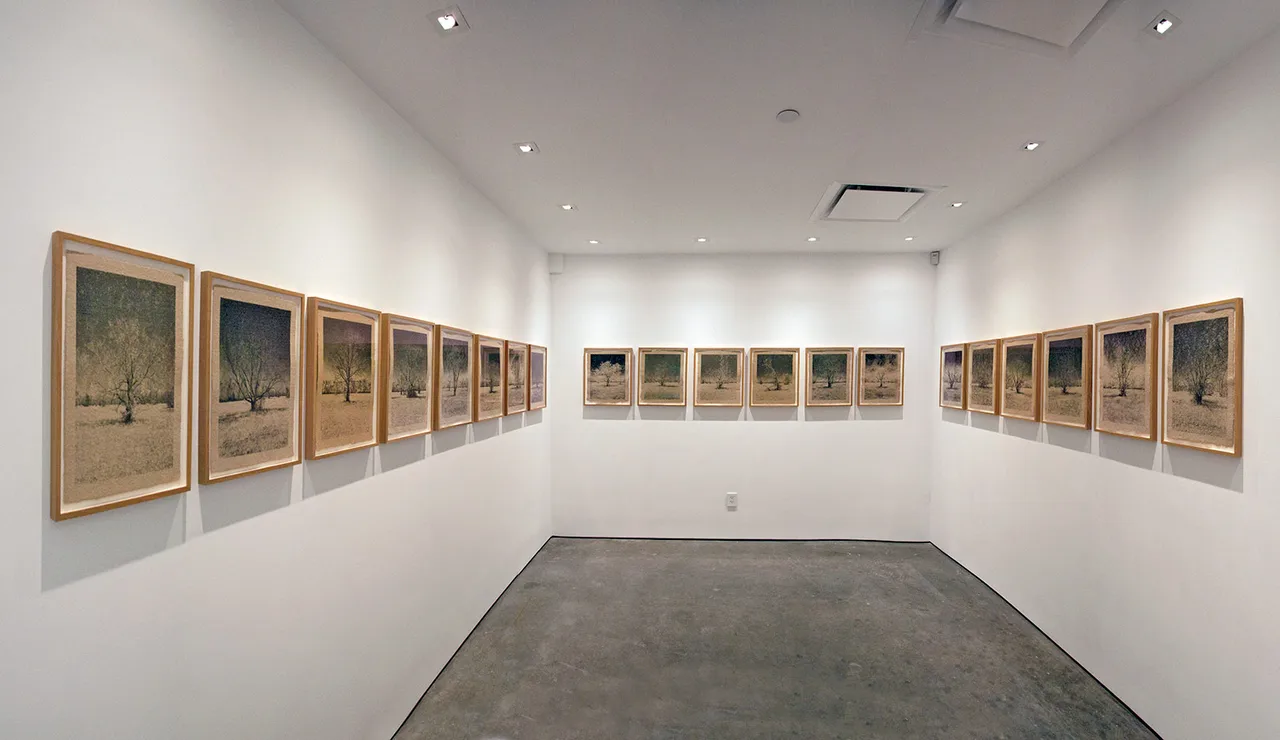 Matthew Brandt Metalmagazine 8.jpg