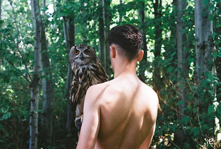 Michael Mayren