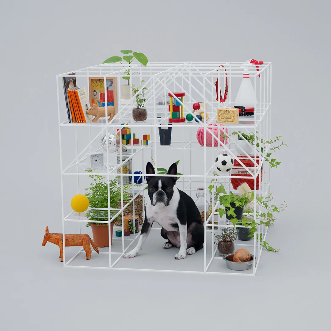 Architecture_for_Dogs_9