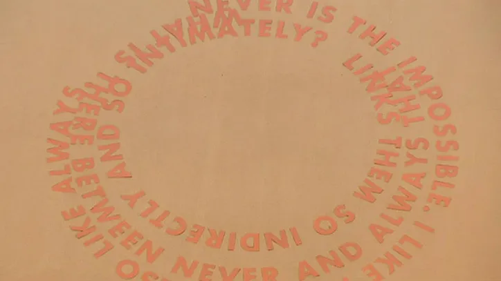 Roni Horn