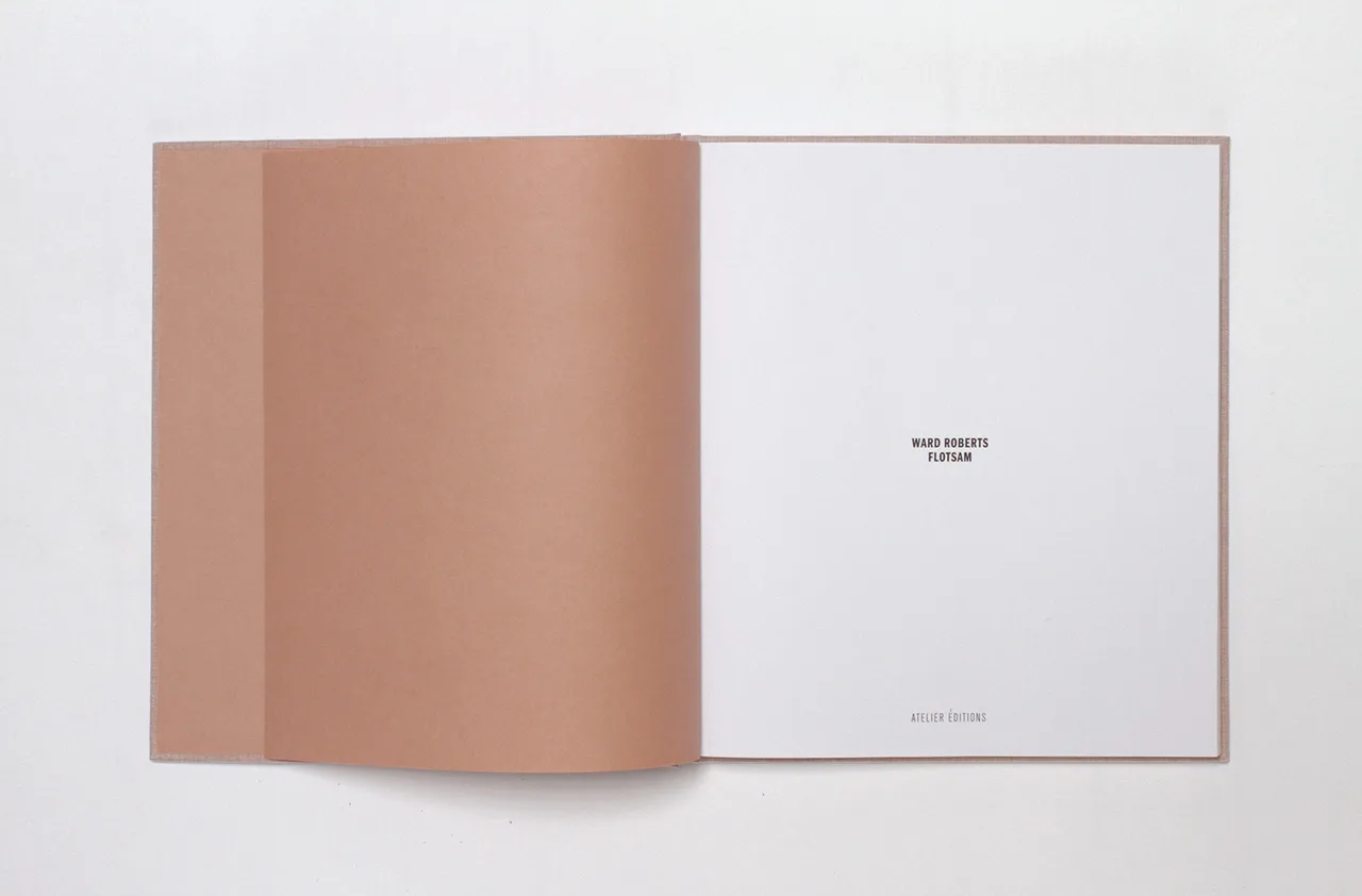 Ward Roberts Metalmagazine 1