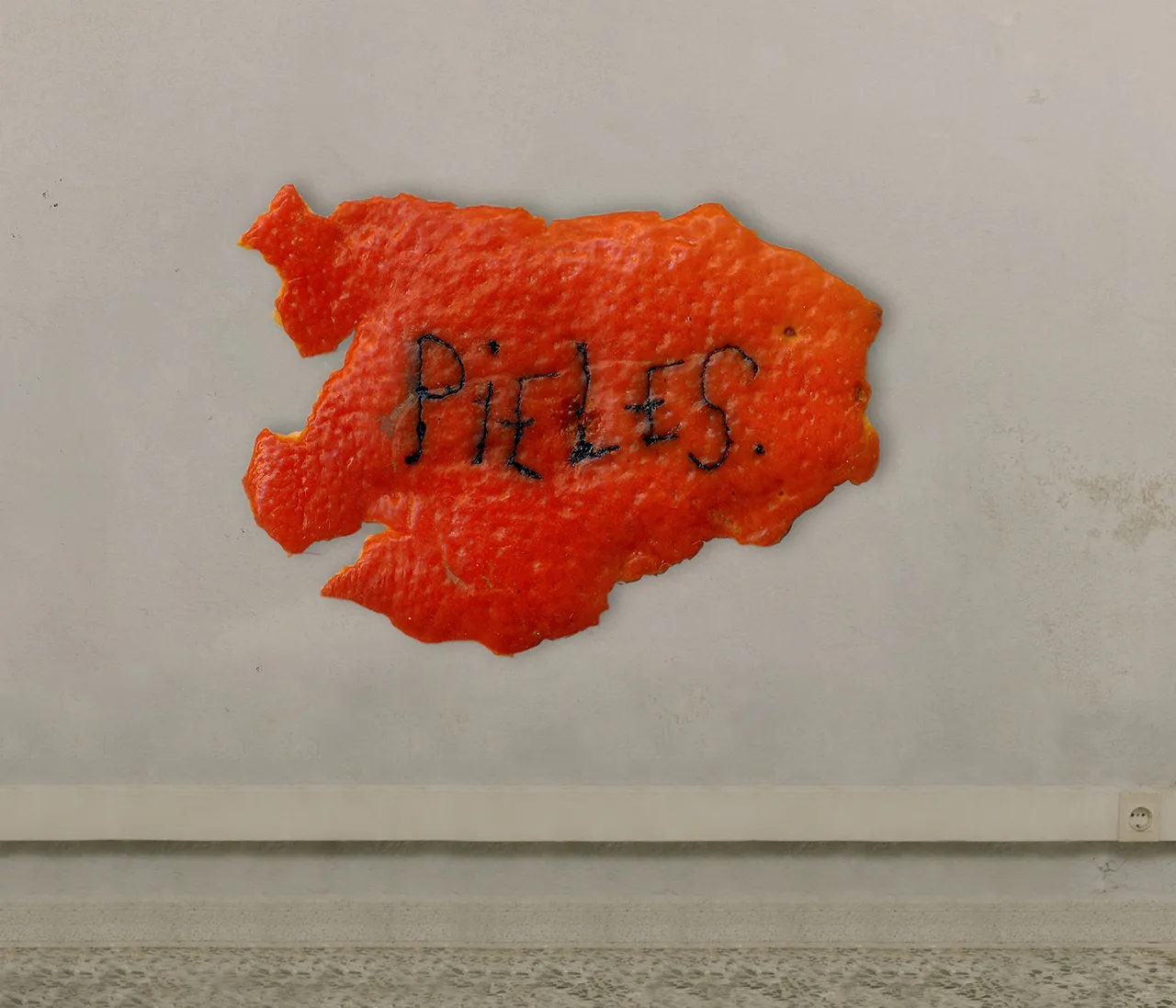 Pieles Metalmagazine 1