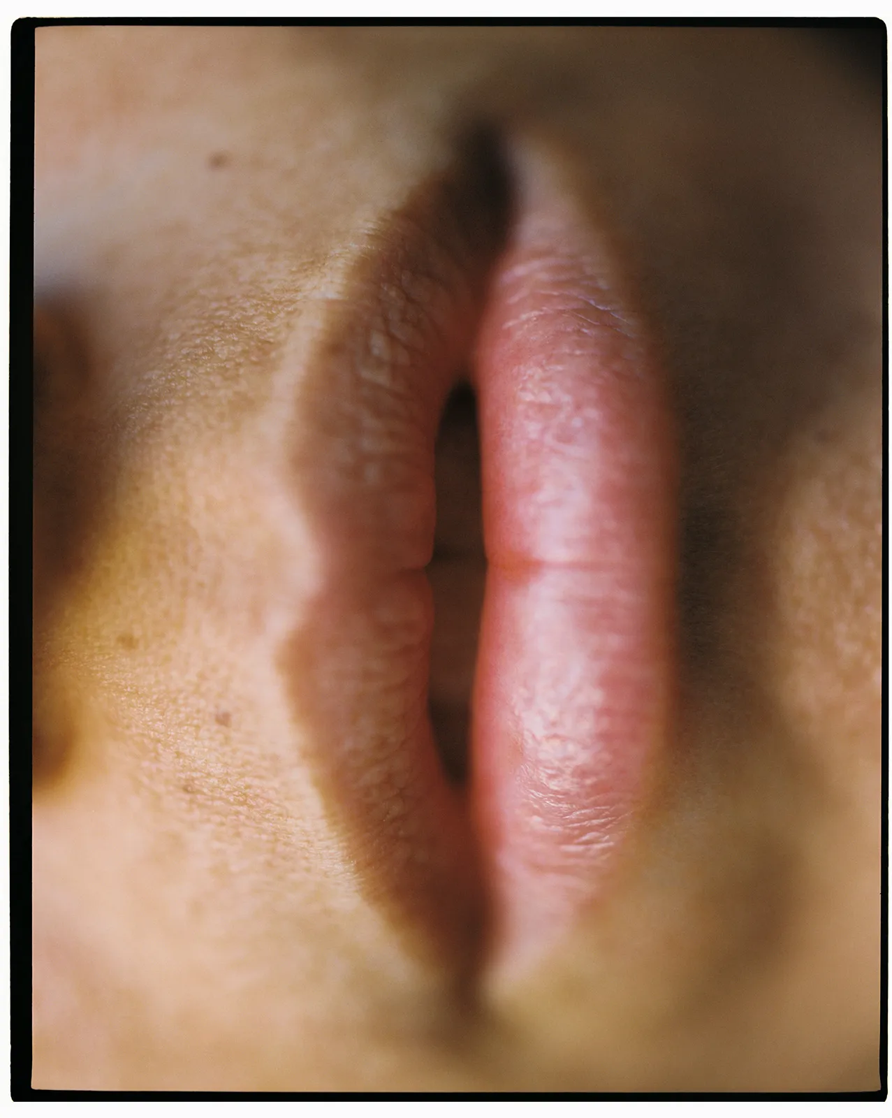 RitaPuigSerra_Anatomyofanoyster06