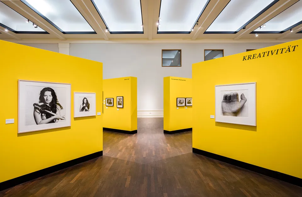 Artist Complex