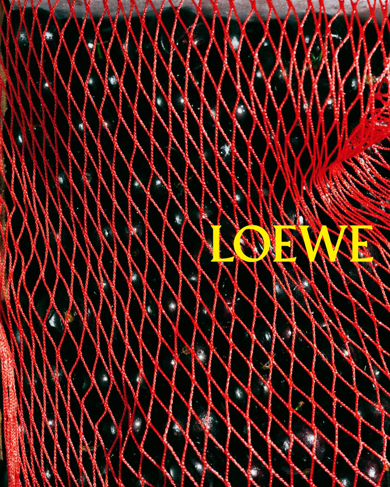LOEWE SS26 CAMPAIGN STILL LIFE 1