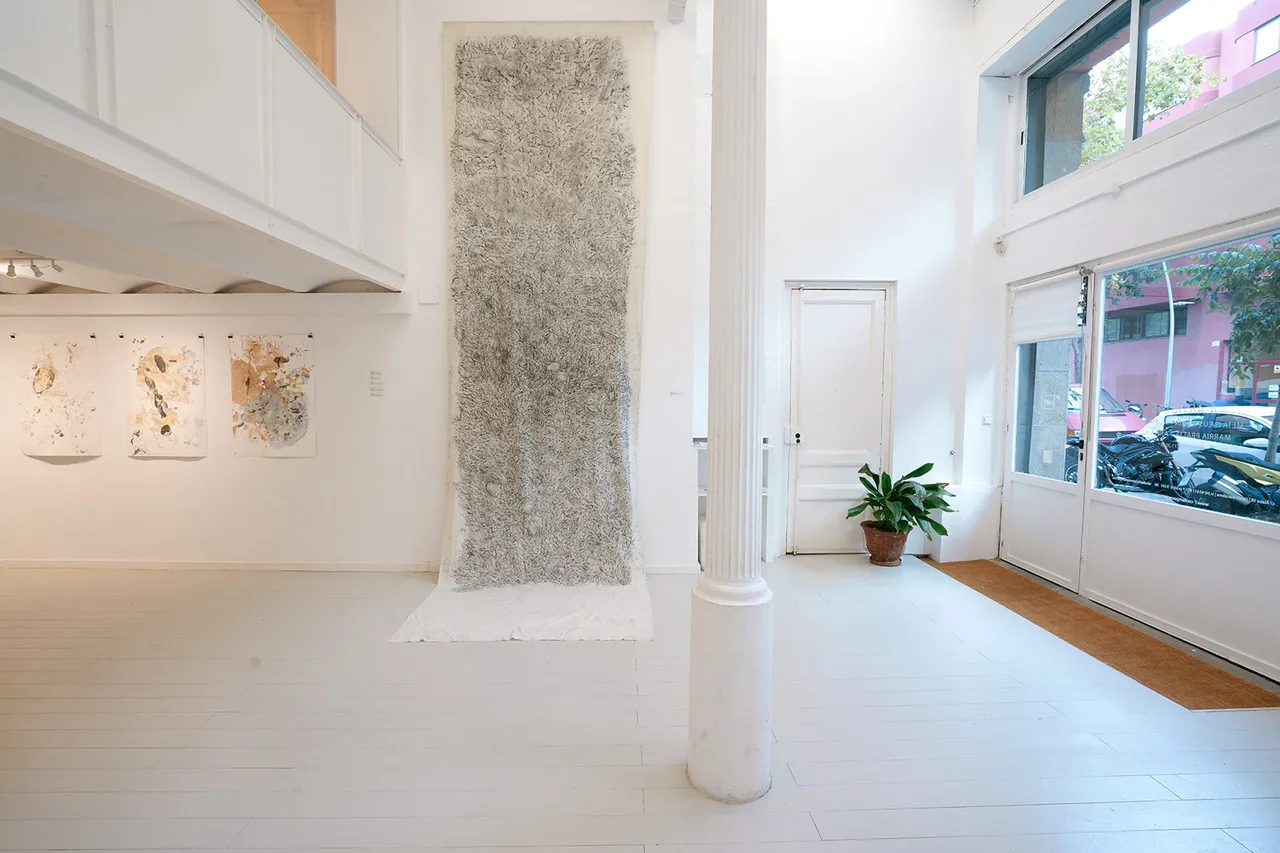 Miao Ting Cortesia Lb Gallery 1