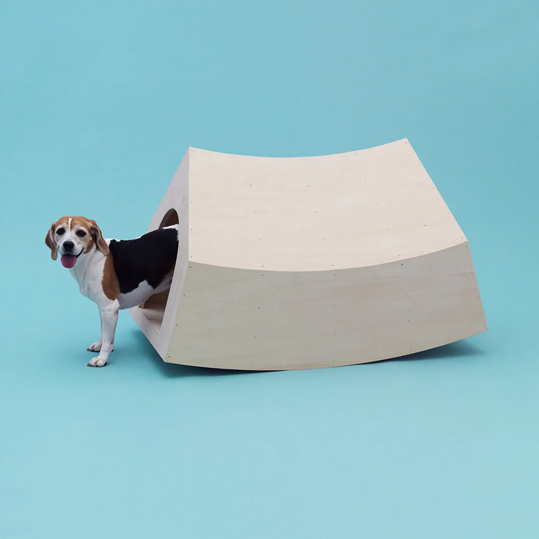 Architecture_for_Dogs_6
