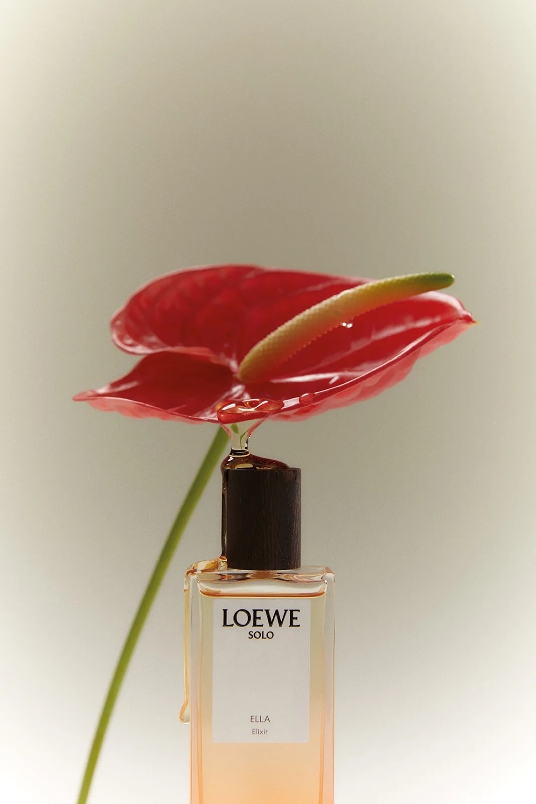 loewe_metalmagazine_19