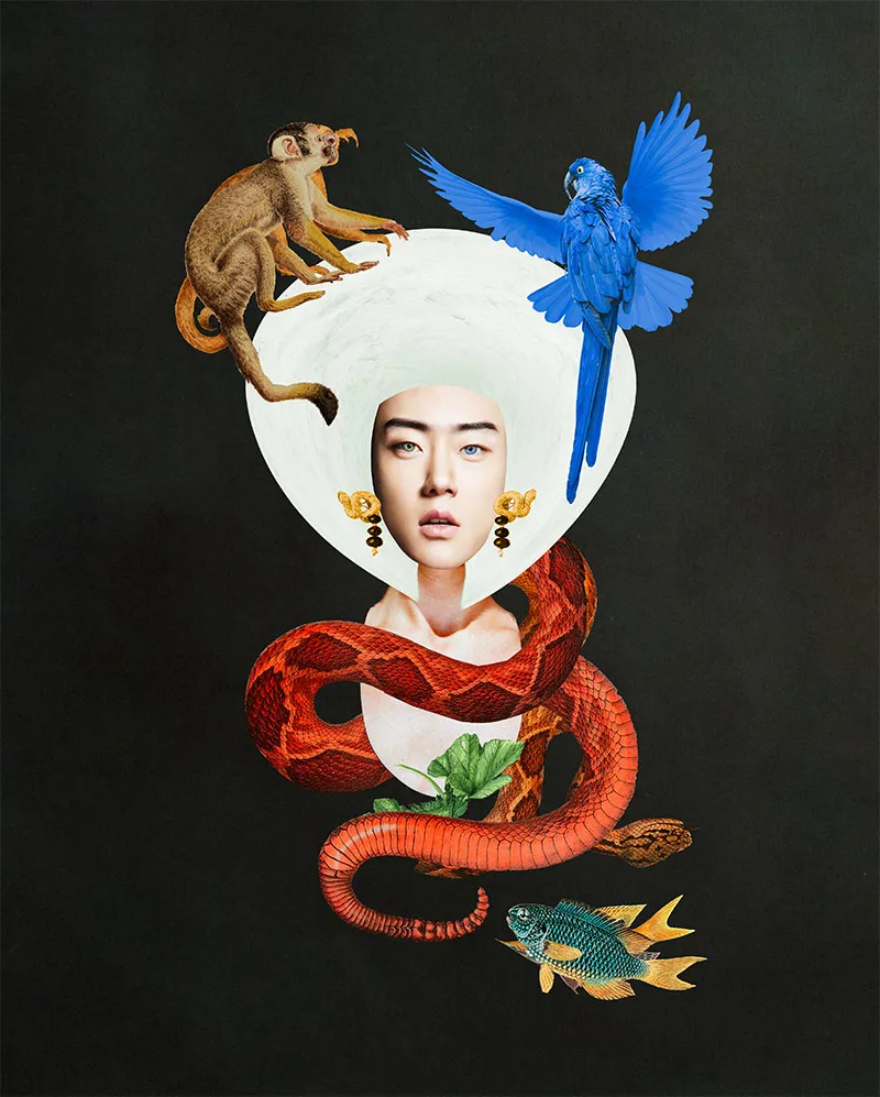 Fauna