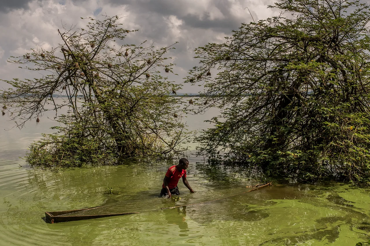 Tercer Premio 040 Frederic Noy Panos Pictures