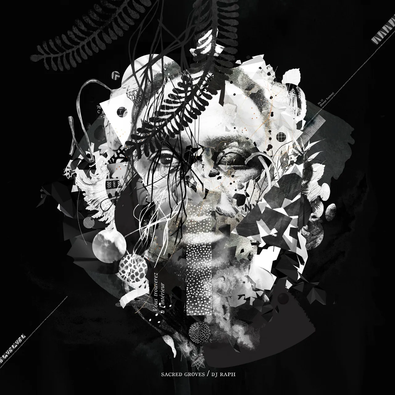 N O4 Dj Raph Sacred Groves