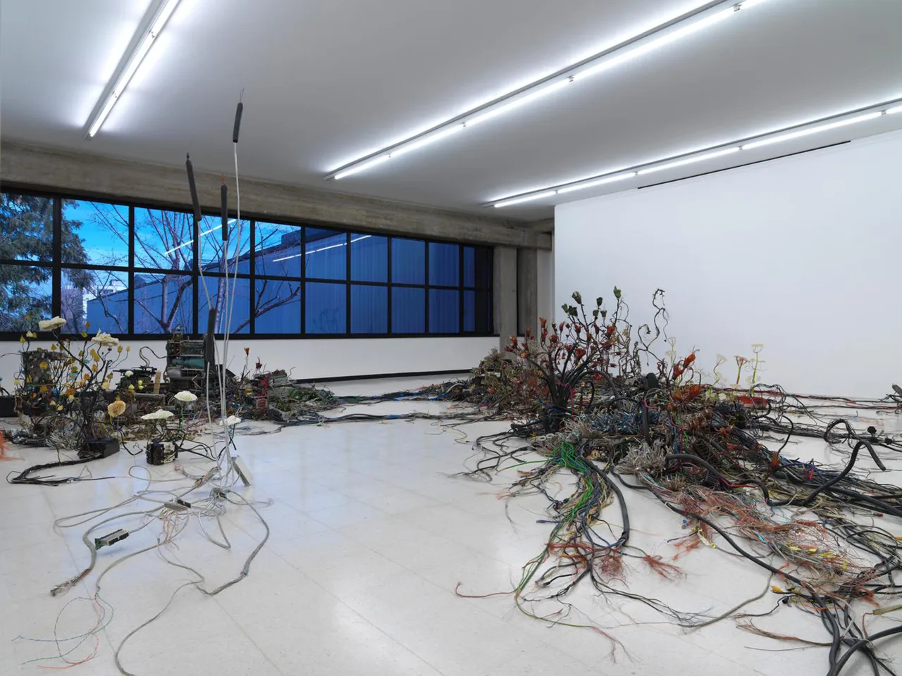 Kintera Room
