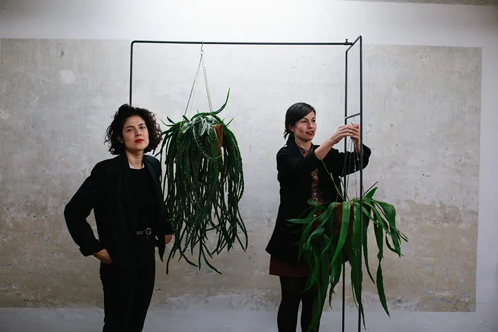 Estudio Sauvage