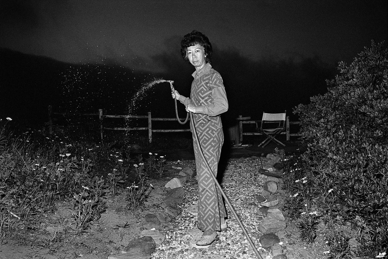 Michael Jang the Jangs Lucy Watering at Night Hires