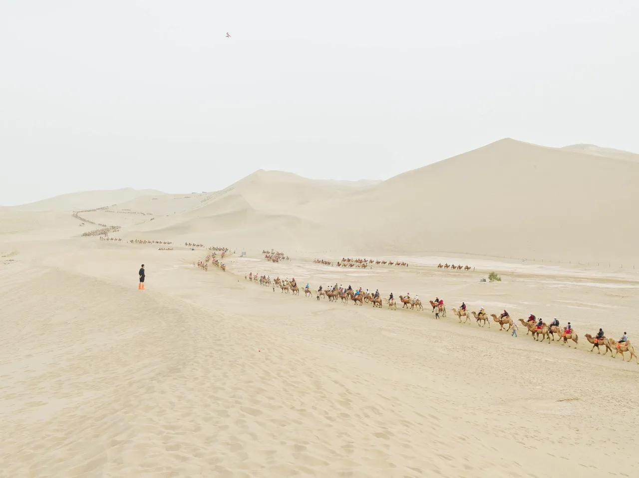 Zhang_Kechun_9