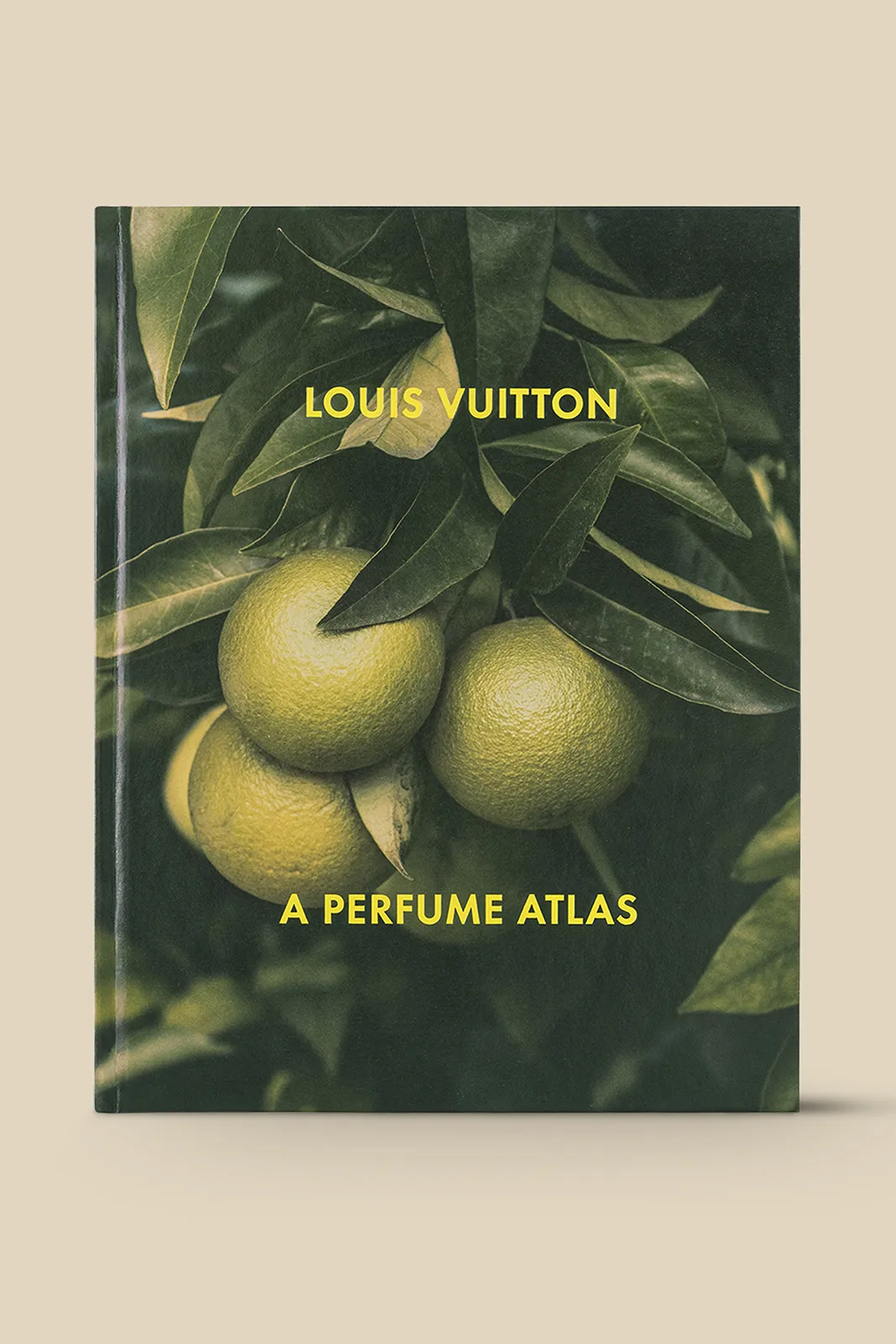 A-Perfume-Atlas_Louis-Vuitton-(3)