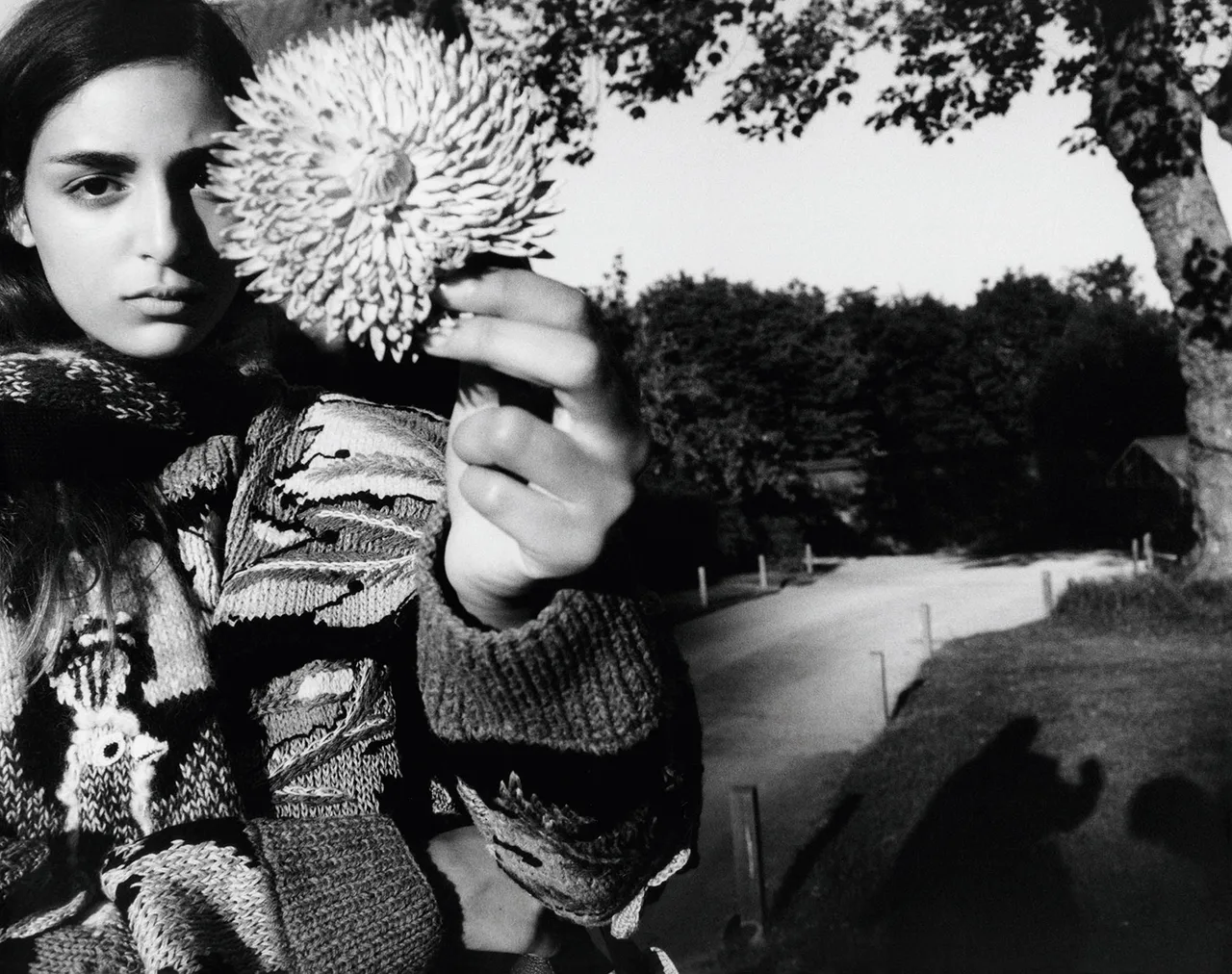 Loewe William Morris Metalmagazine 4