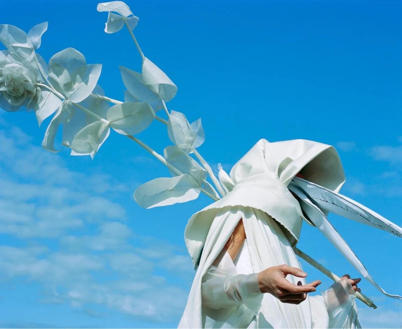Estelle Hanania Bird of Peace