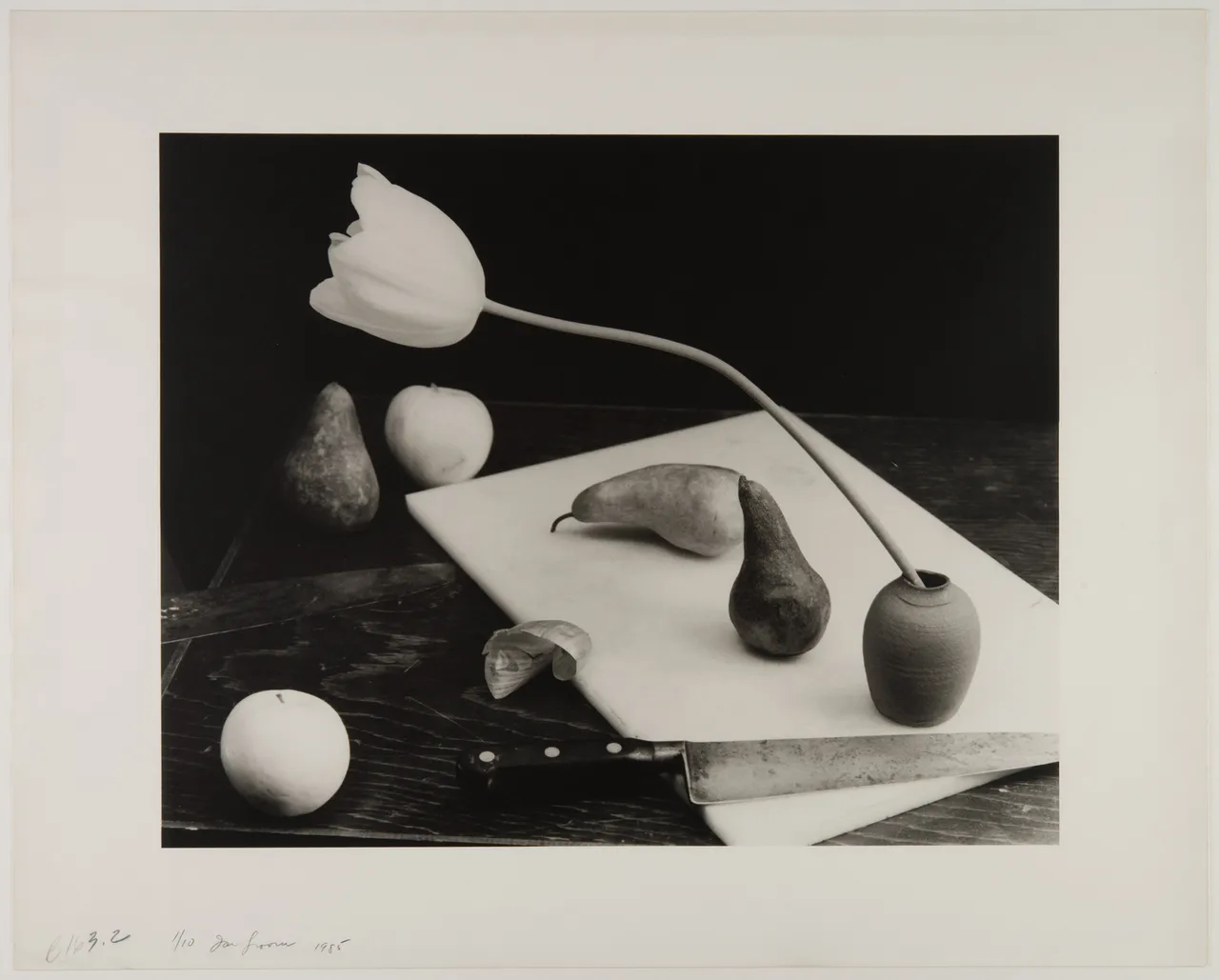 Jan Groover 3