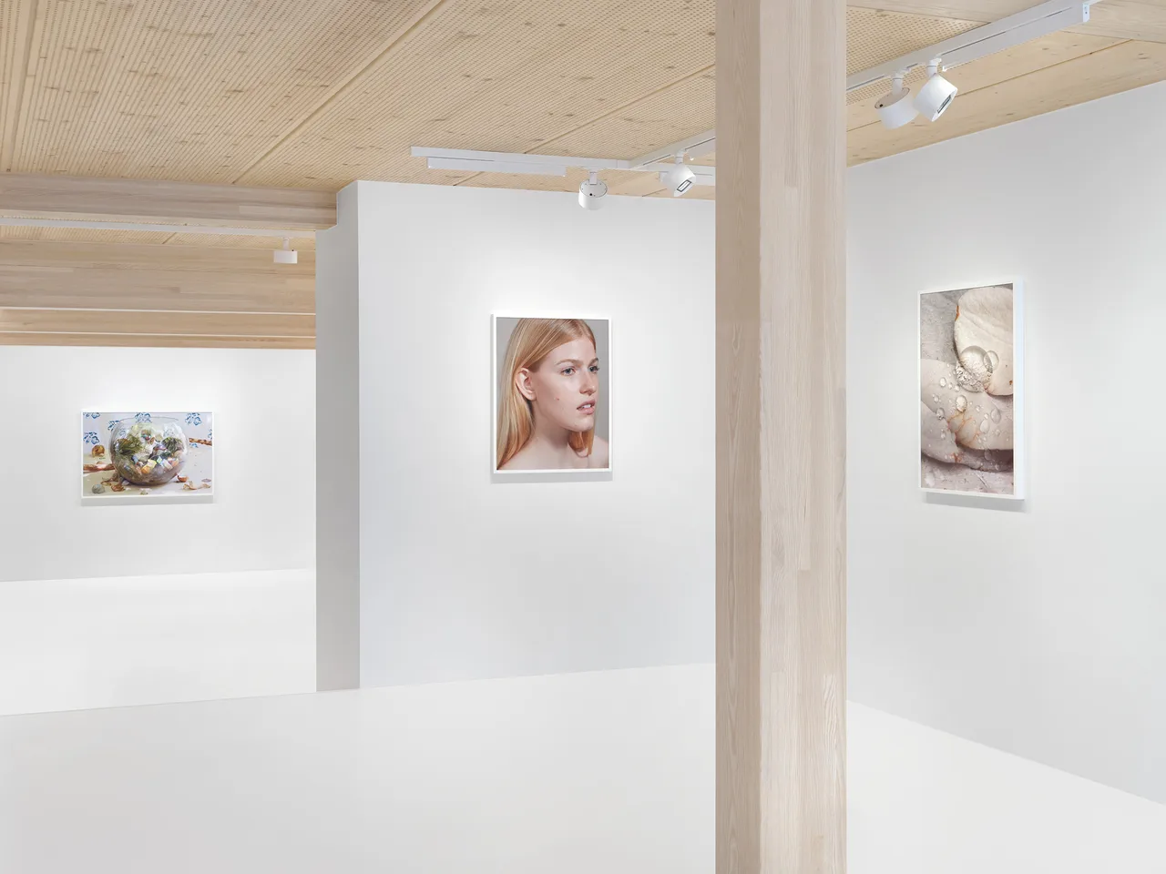Roe-Ethridge_3
