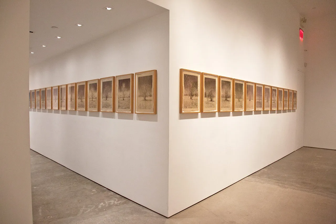 Matthew Brandt Metalmagazine 9.jpg