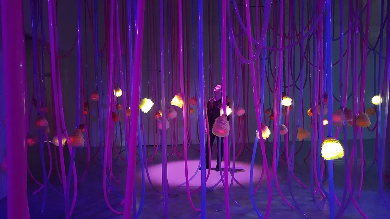 Kikk Festival 2019