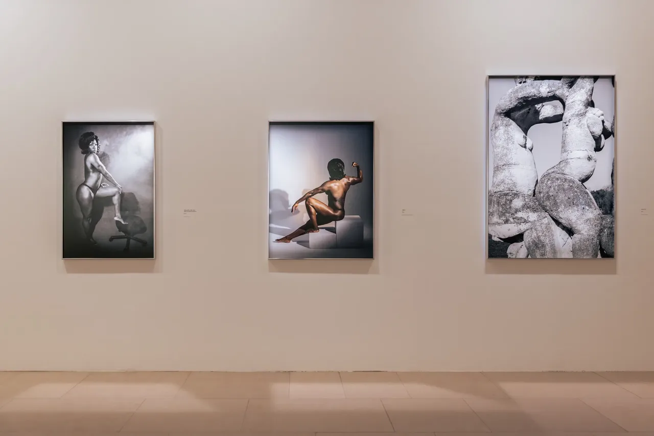 metal-camille-vivier-exhibition-16