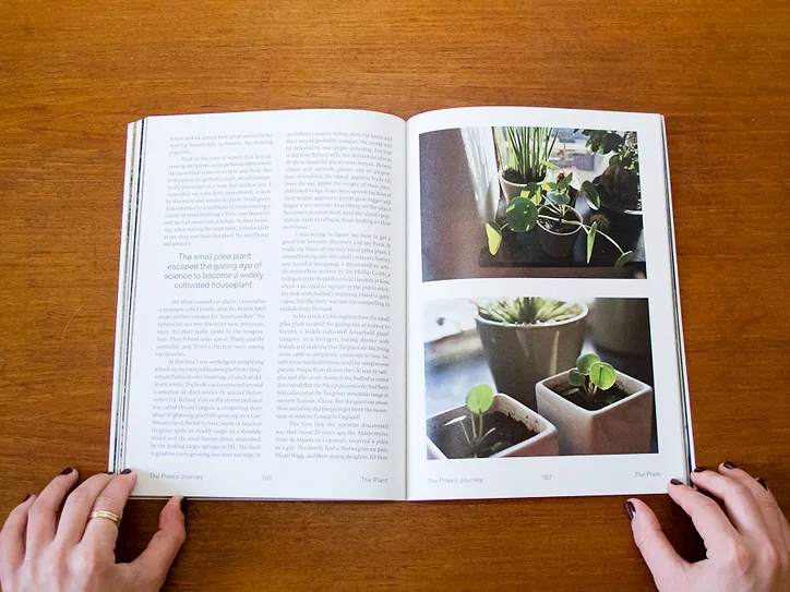 The Plant