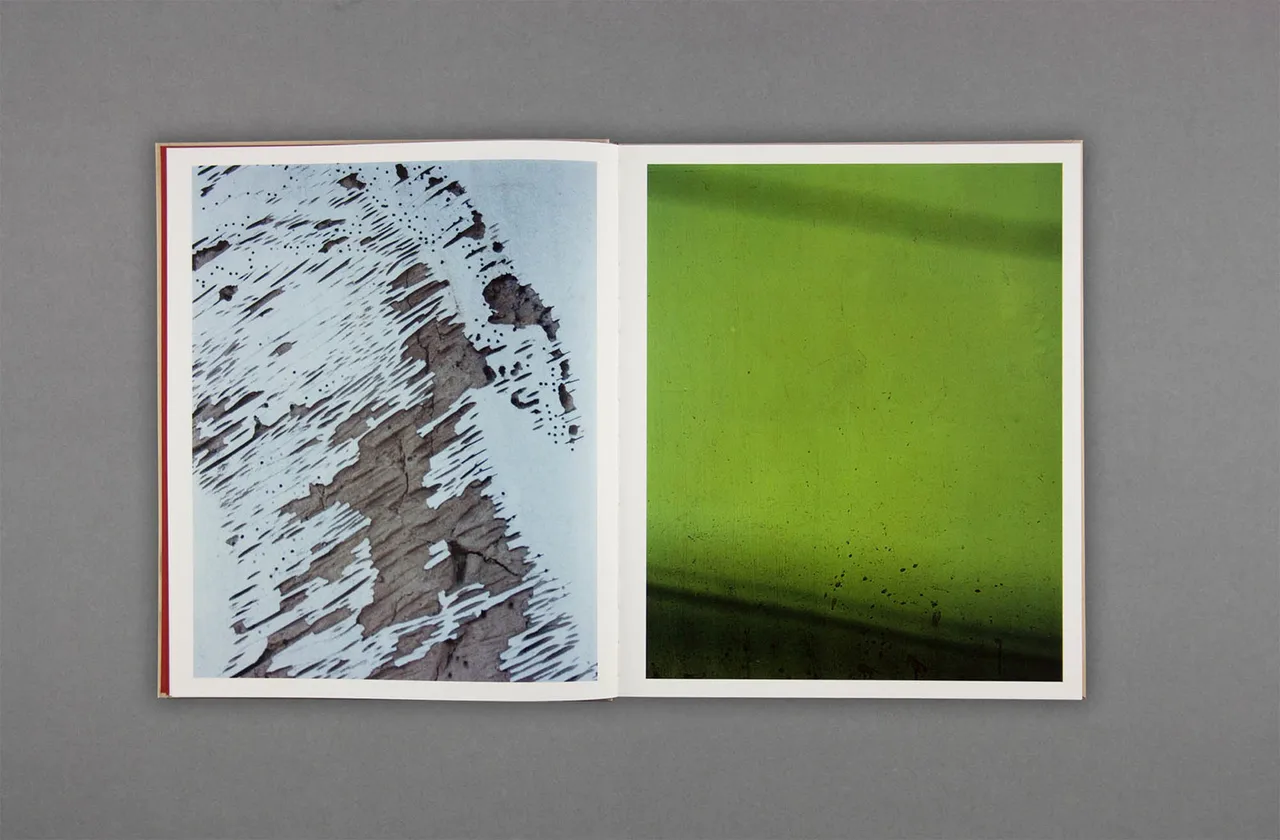 Harley Weir Paintings 4