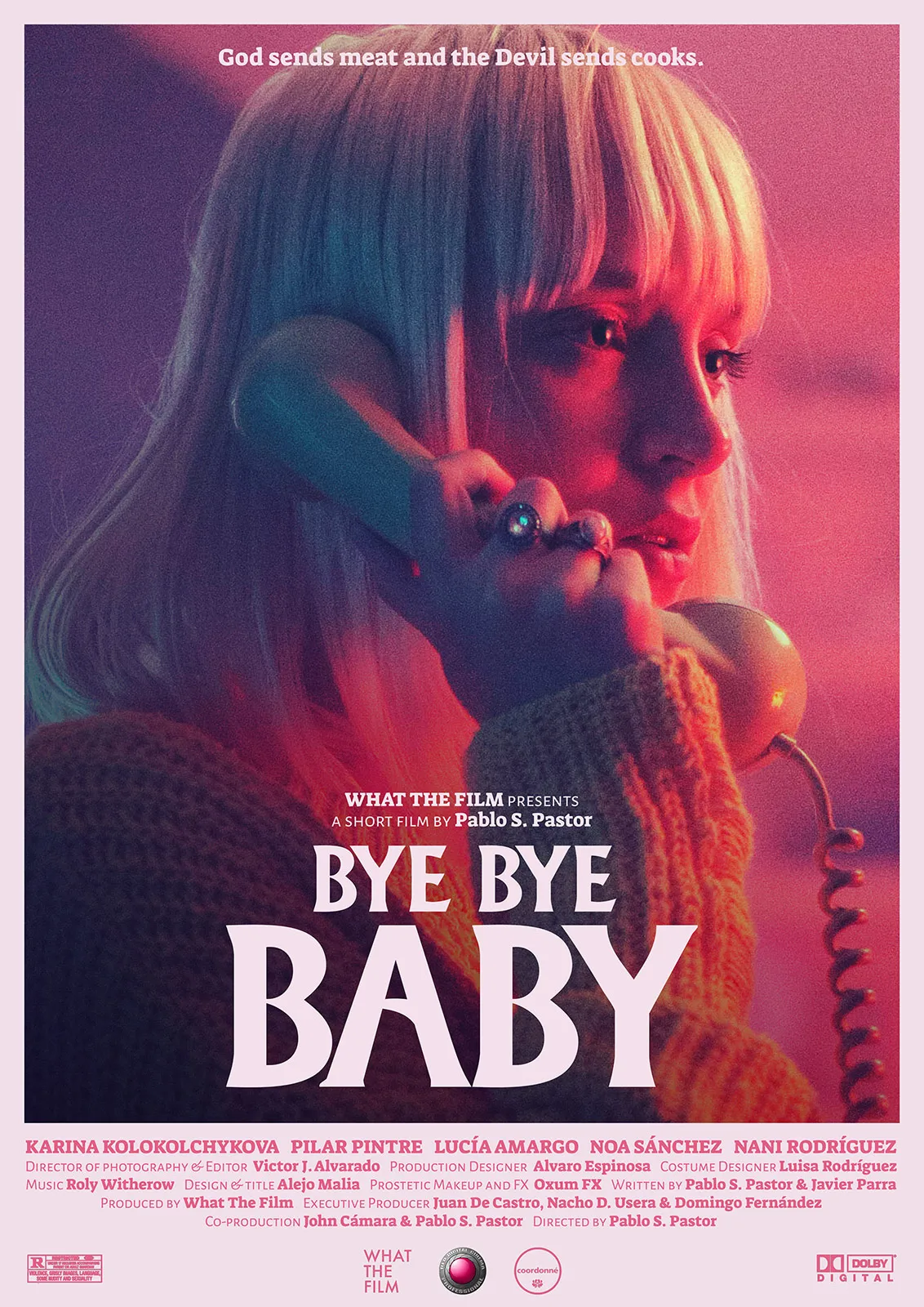 Bye Bye Baby Poster