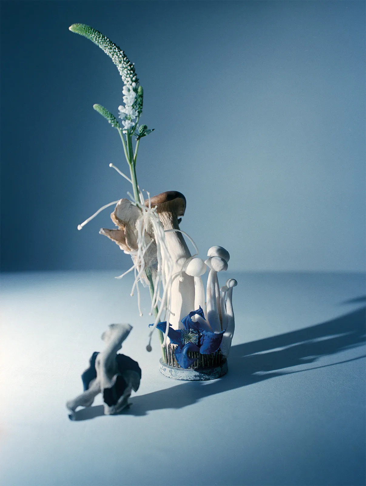 Teddy Iborra Metal Loewe Metalmagazine 6