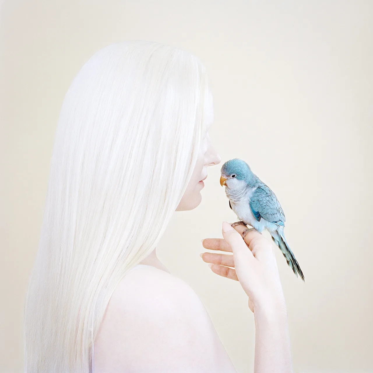 Petrina Hicks 5