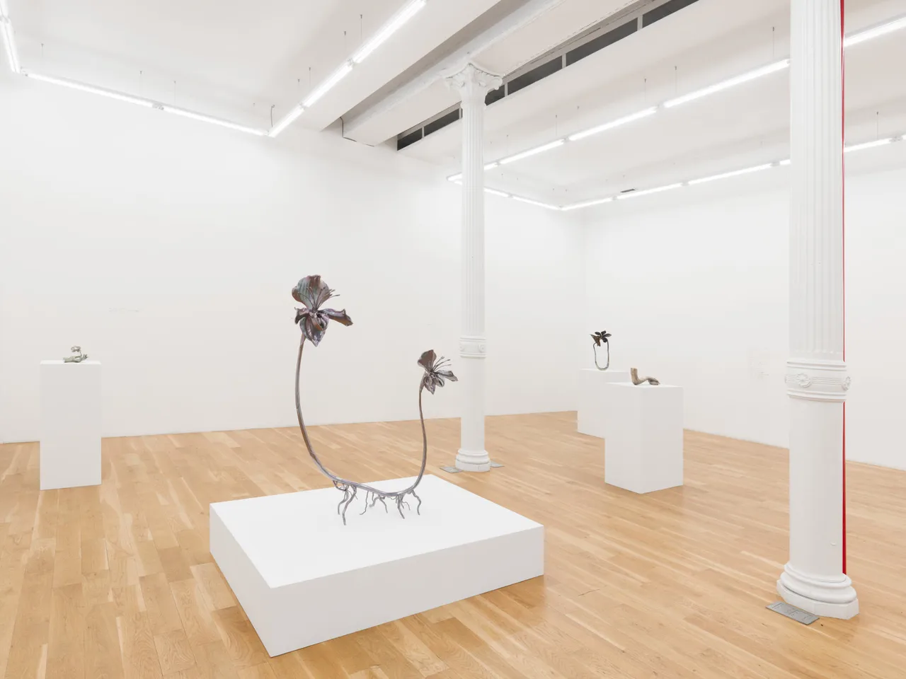 Alien Spring - Install View 1