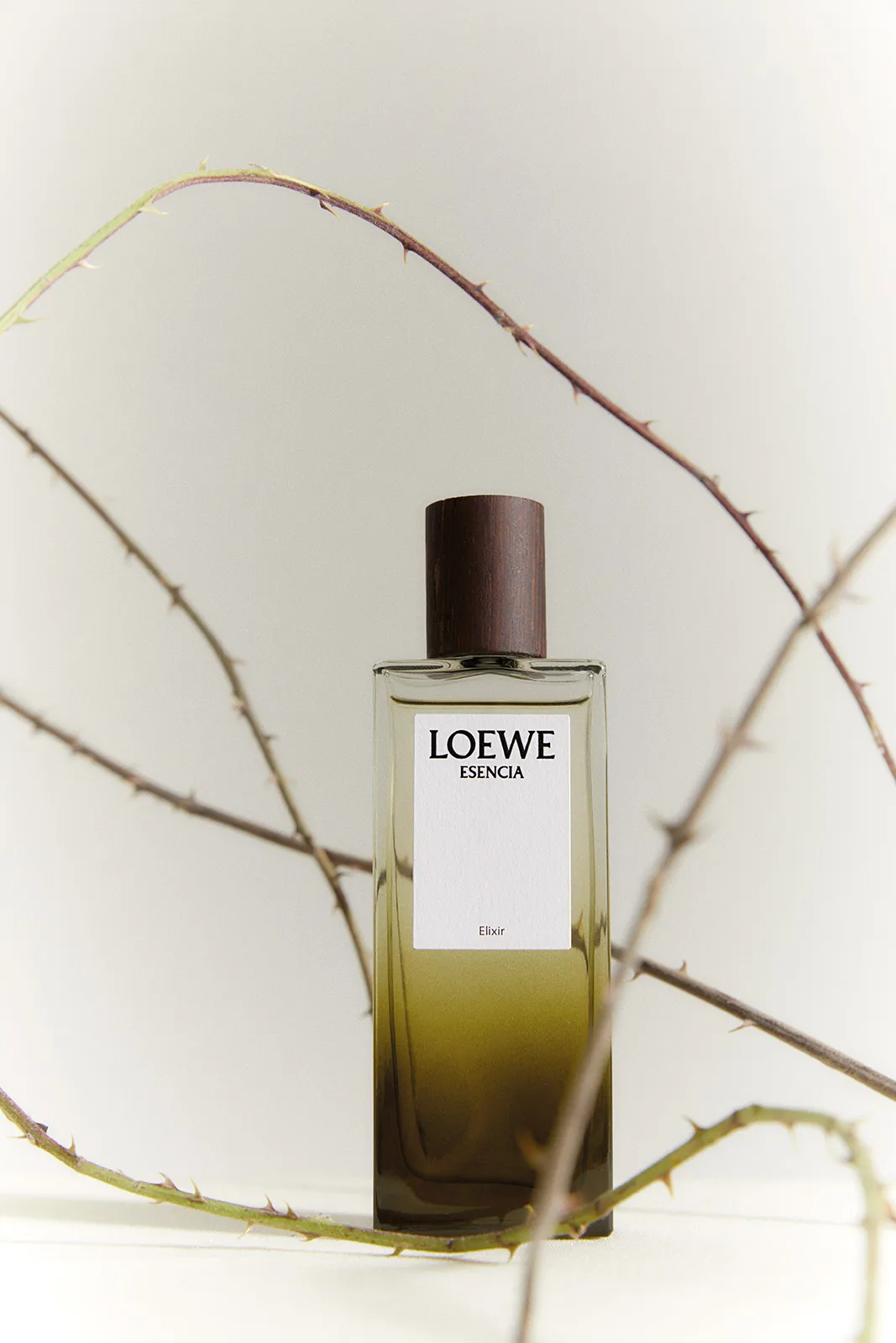 loewe_metalmagazine_21