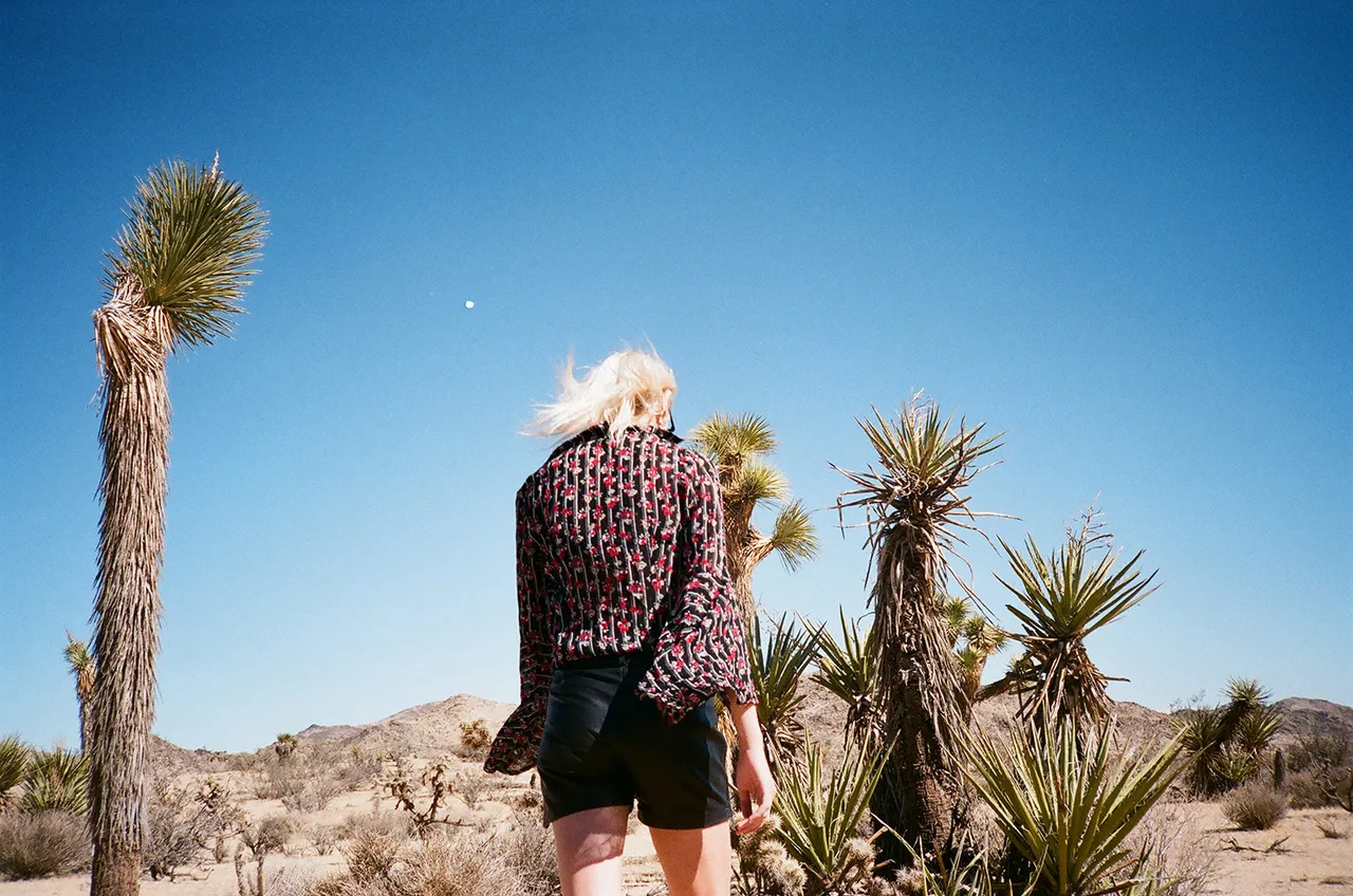 Desert Daze