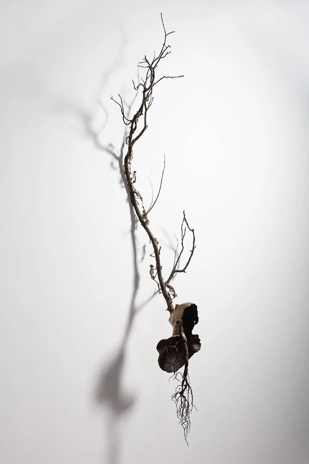 Tache Art Gallery_Javier Pérez