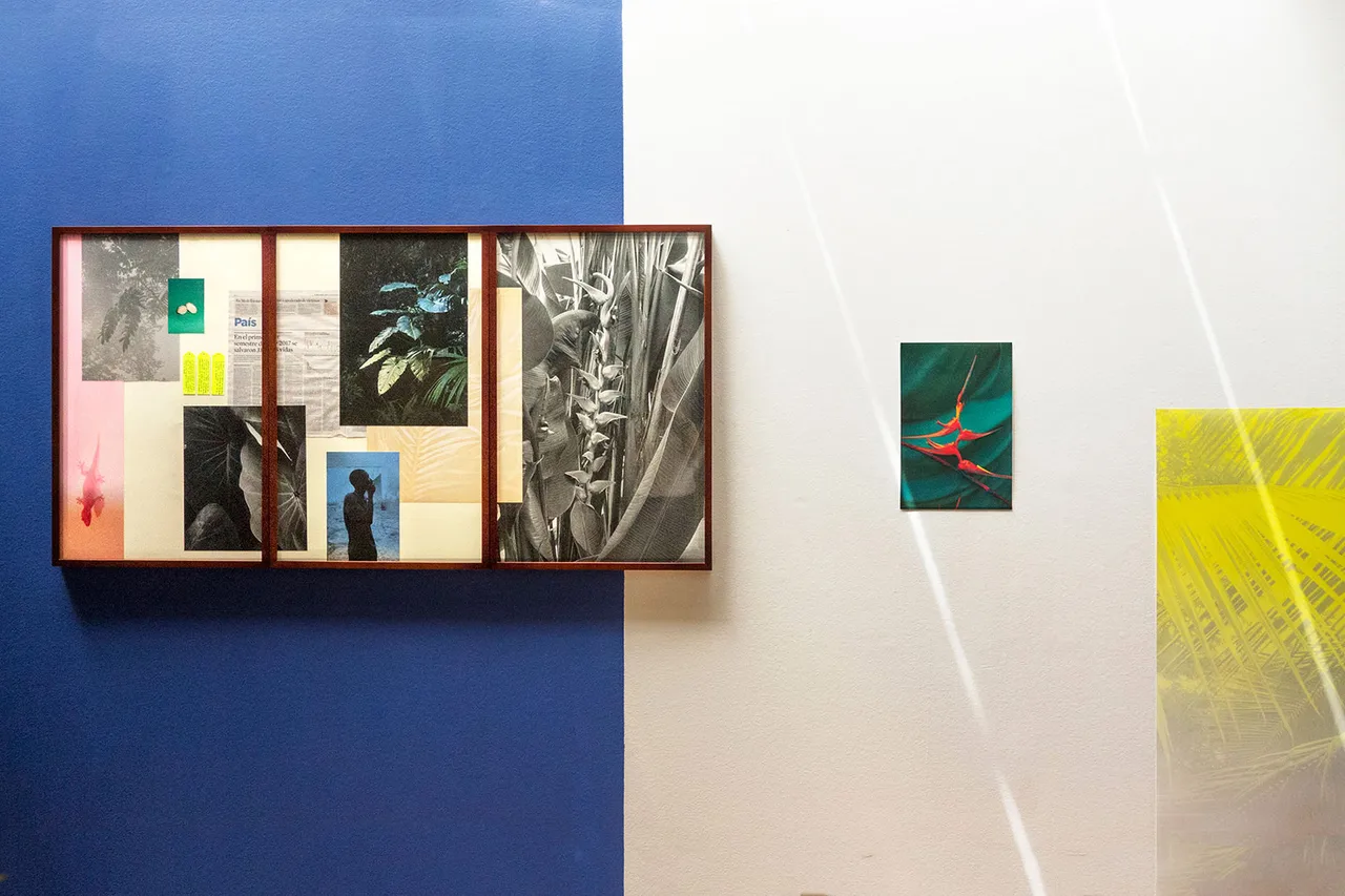 Elsa Leydier Plantanos Con Platino 4