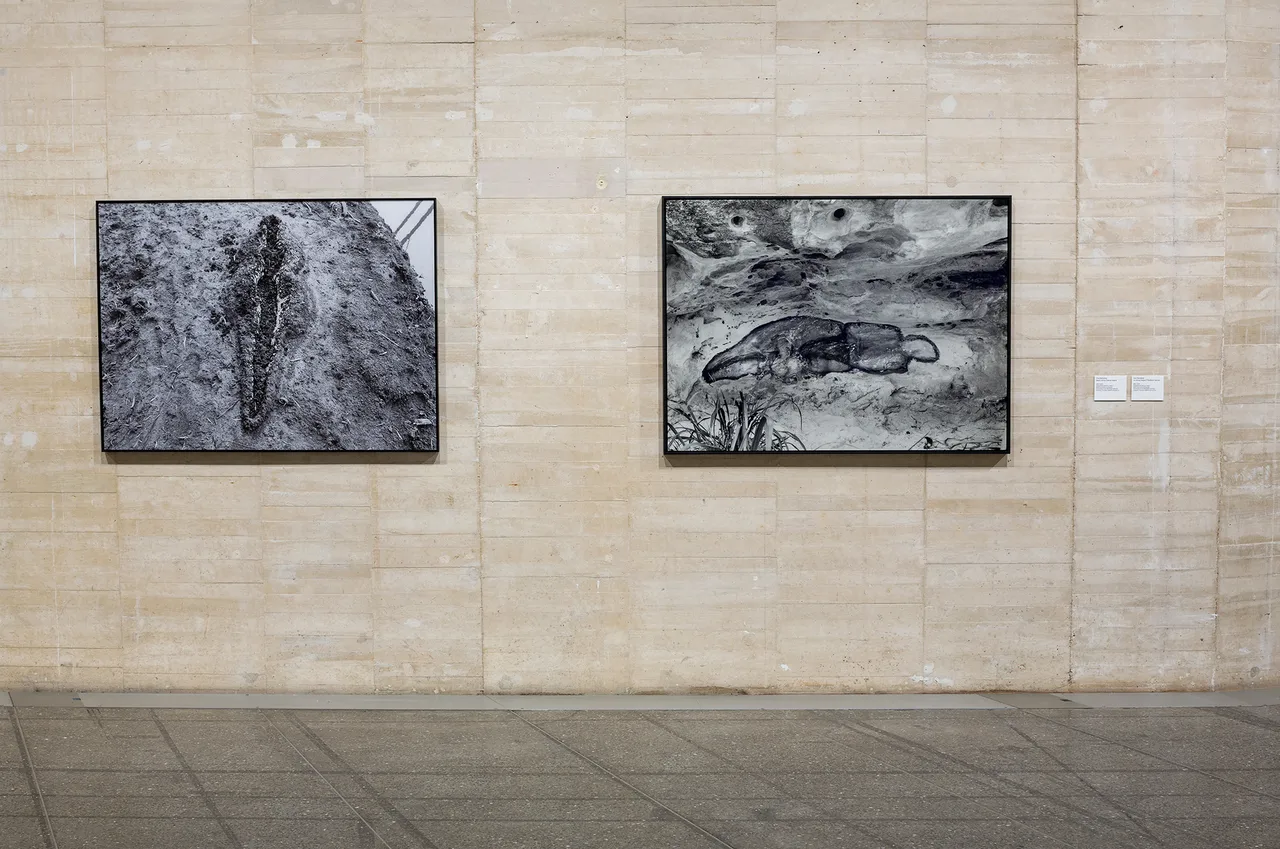 Ana-Mendieta_5