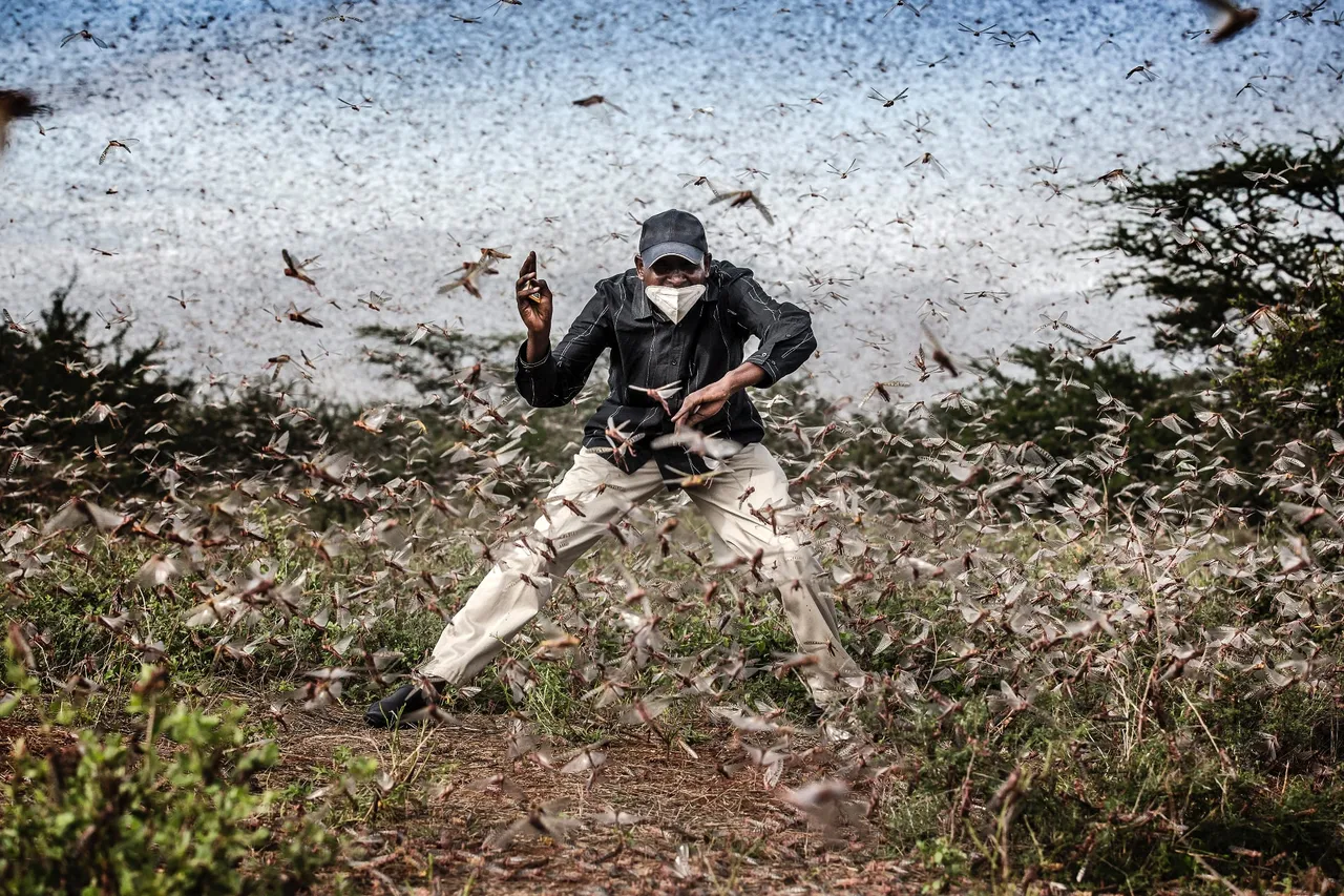 006 World Press Photo of the Year Nominee Luis Tato for the Washington Post