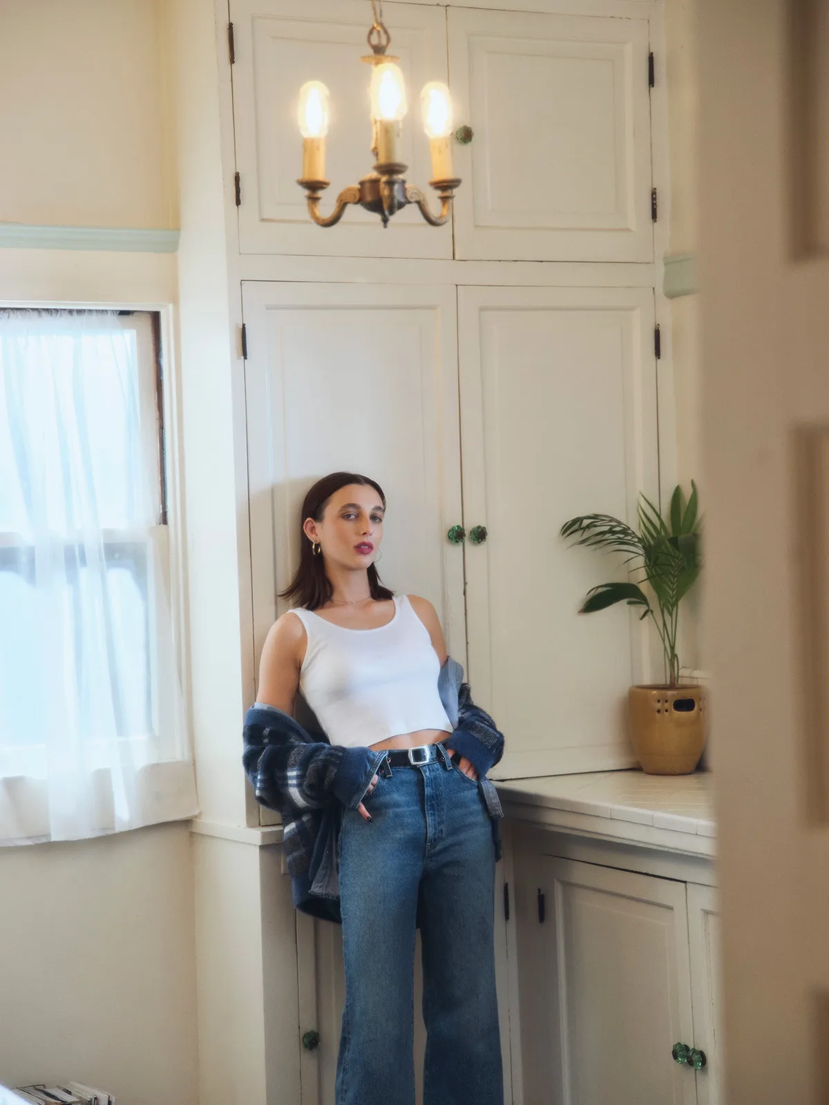Levis 12