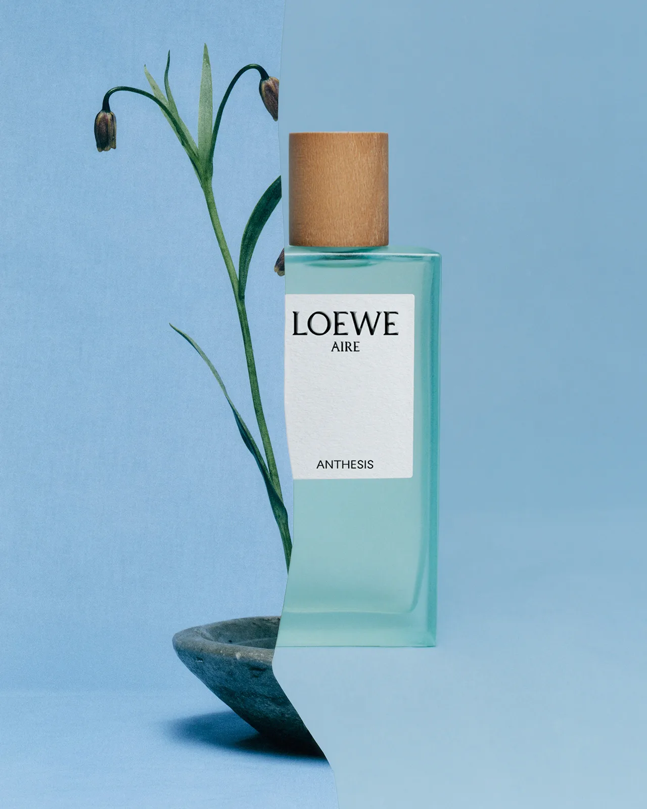 Loewe Perfumes 2