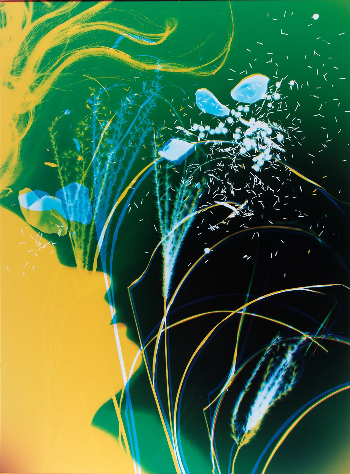 ©-Philippine-SCHAEFER-(1)