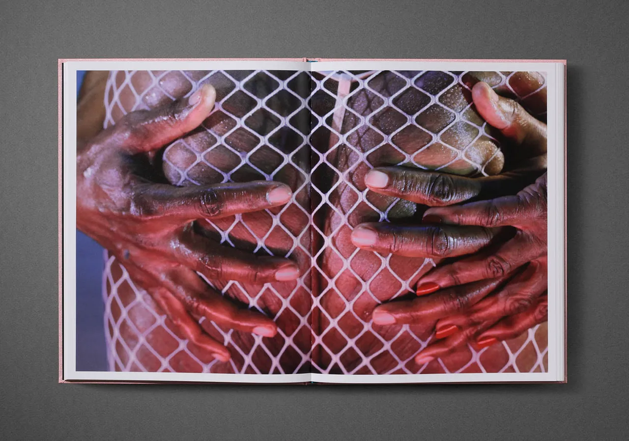 Marilyn Minter 11