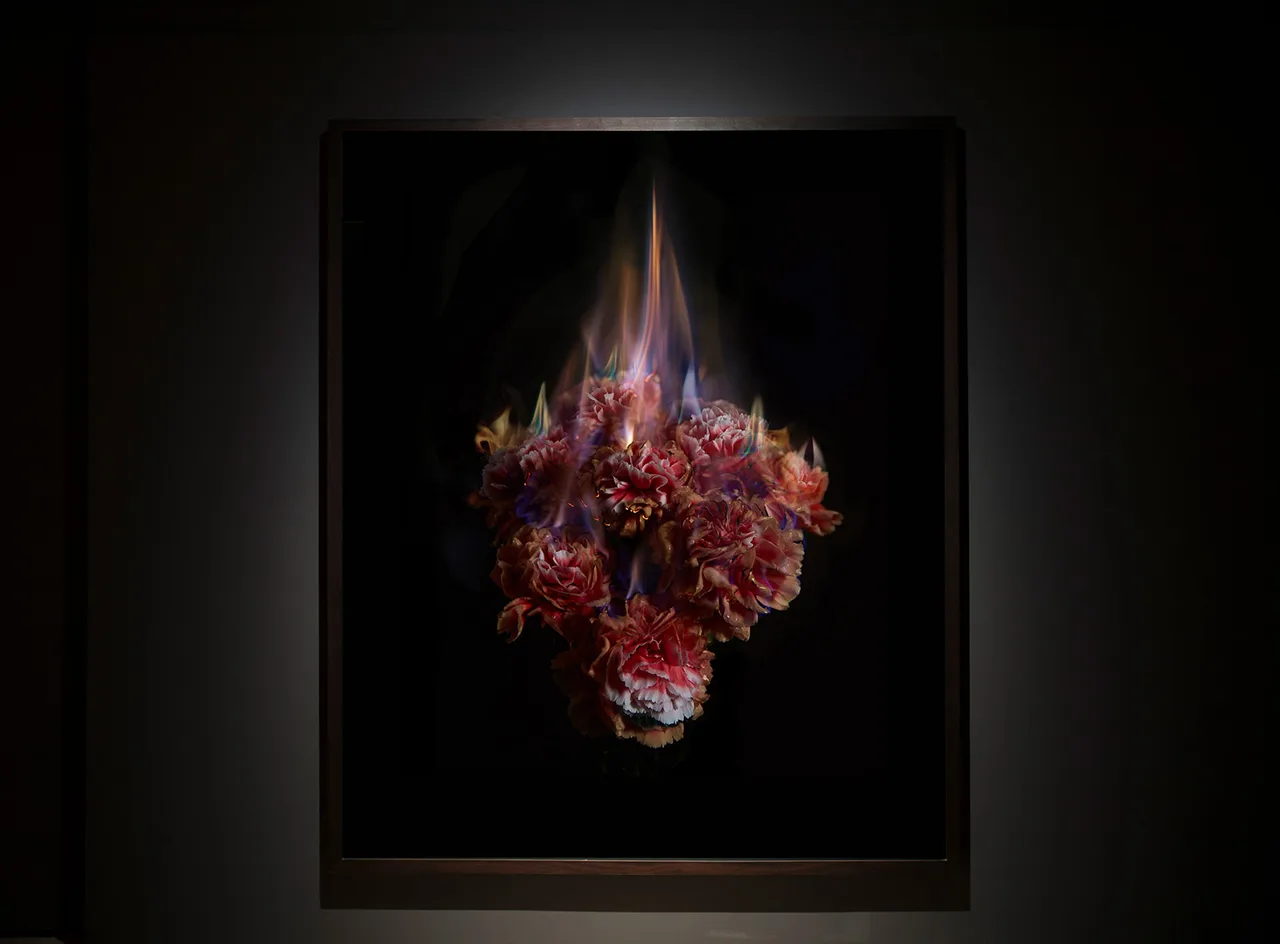 Mat Collishaw 4