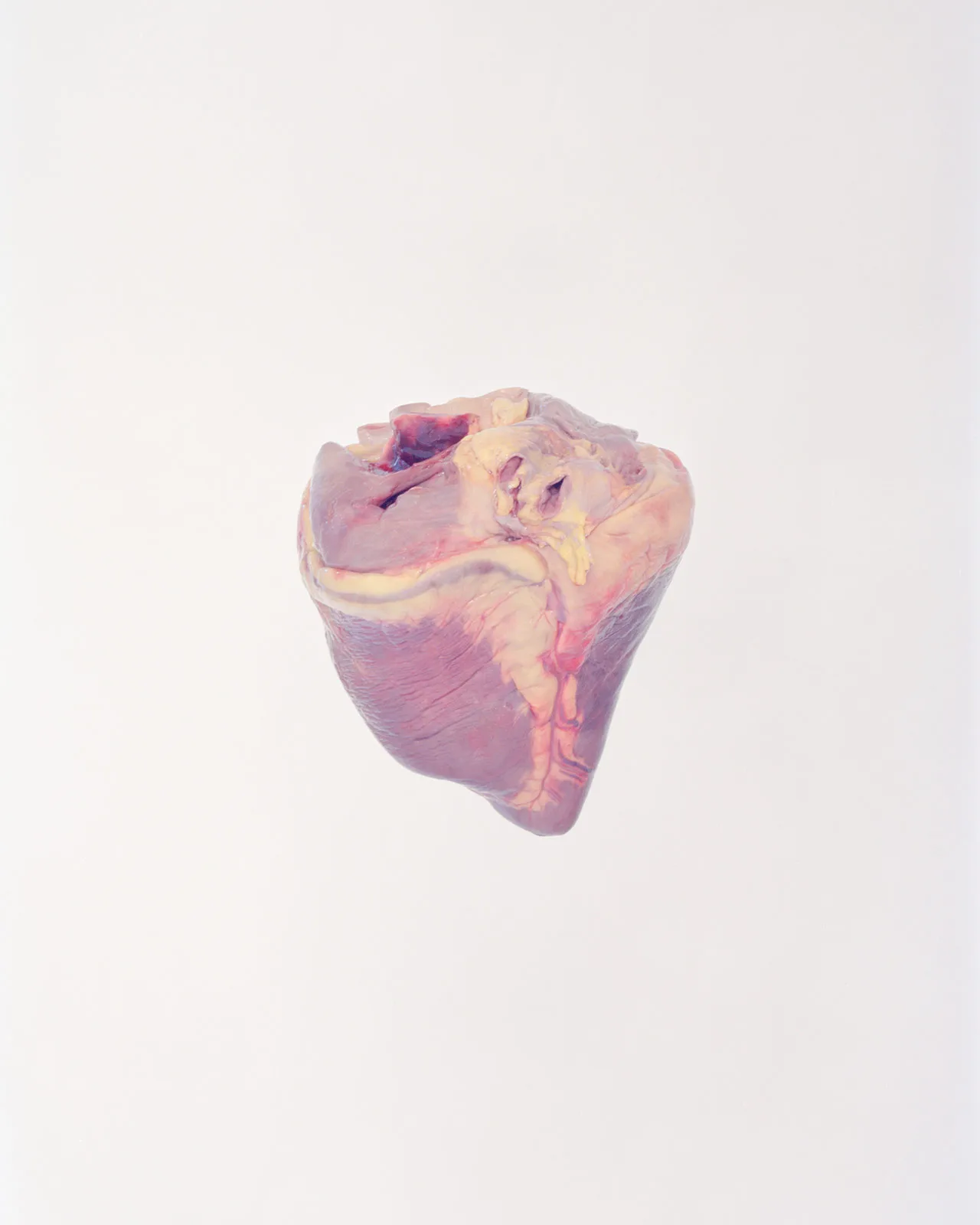 Ward Roberts Metalmagazine 15