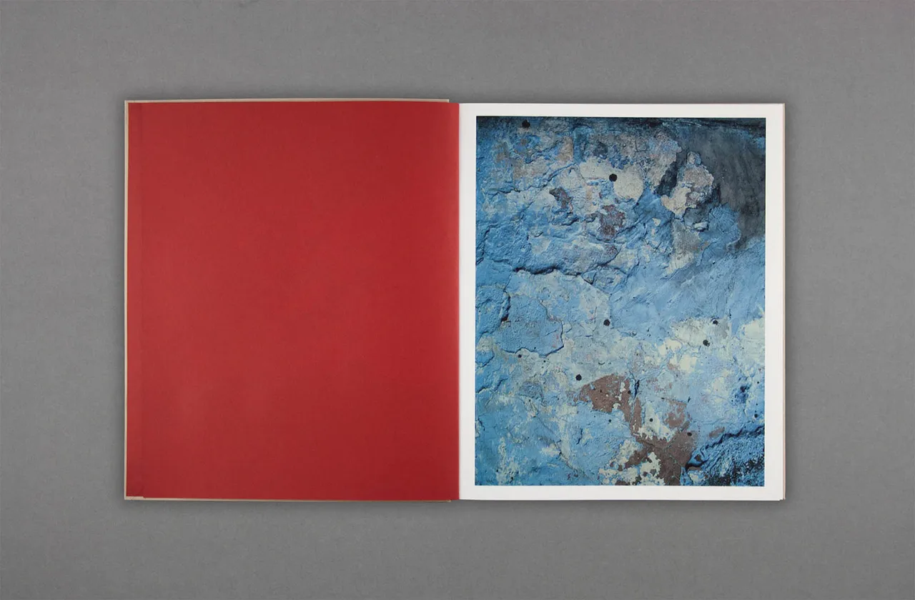 Harley Weir Paintings 3