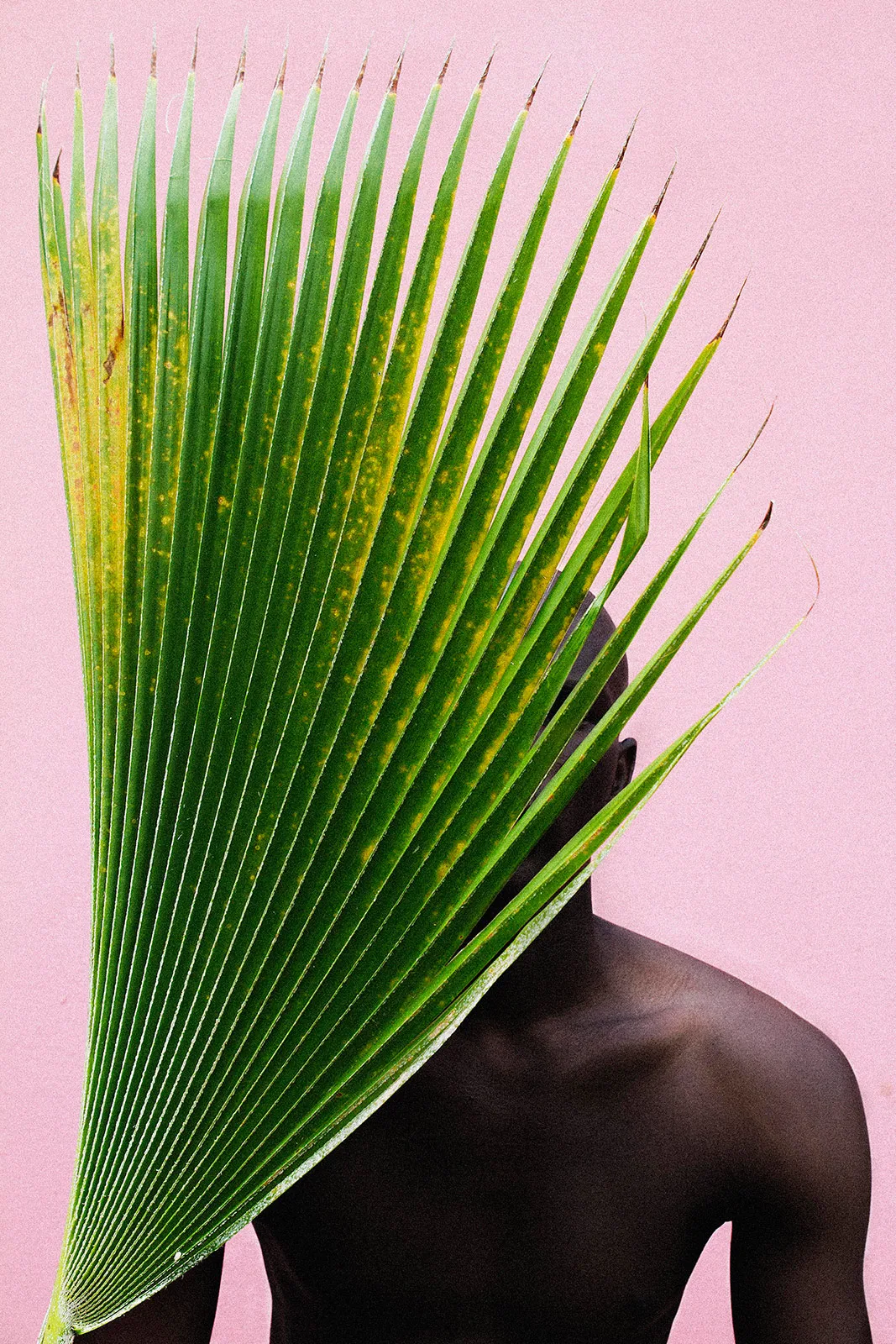 Lakin Ogunbanwo Metalmagazine 3