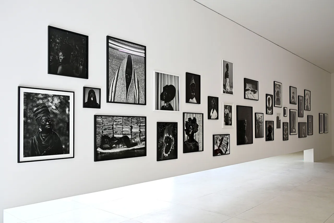 nvstudio_139