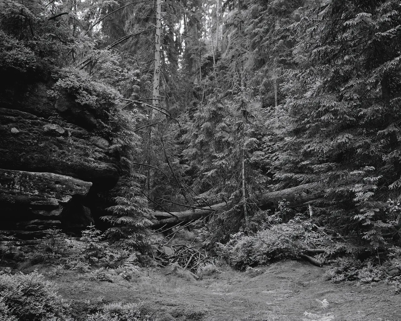 Tereza Zelenkova 02 Snake That Disappeared 05 Landscape Aderspach