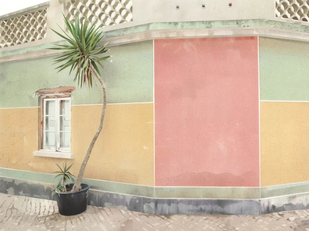 Street Palm